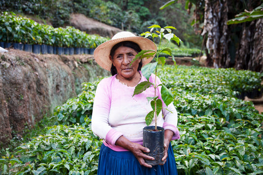 Empowering women coffee farm owners is one way to secure the future of this much loved crop