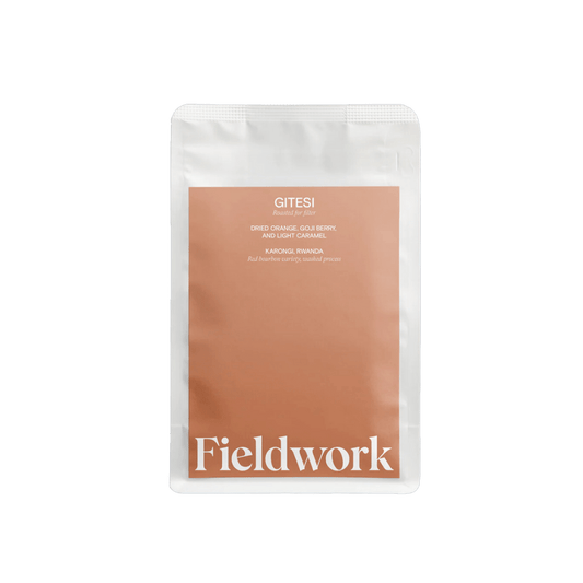Fieldwork Coffee Gitesi Filter