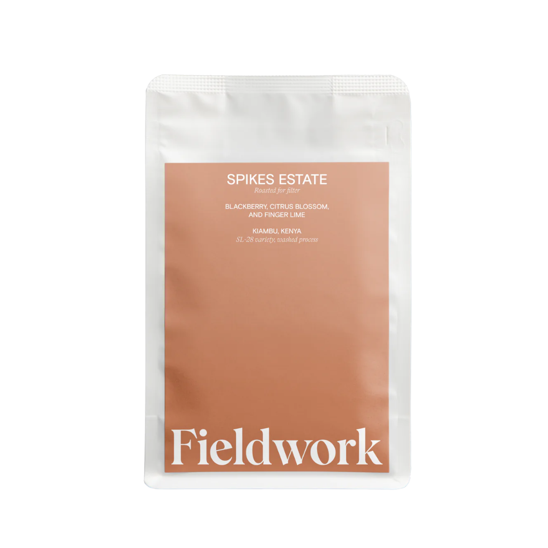 Fieldwork Coffee Spikes Estate Filter