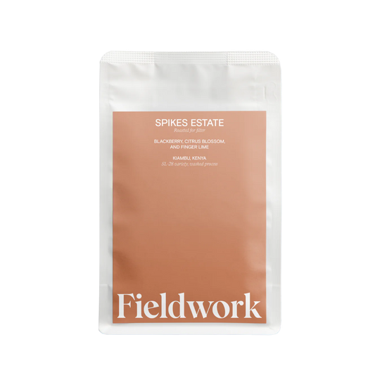 Fieldwork Coffee Spikes Estate Filter